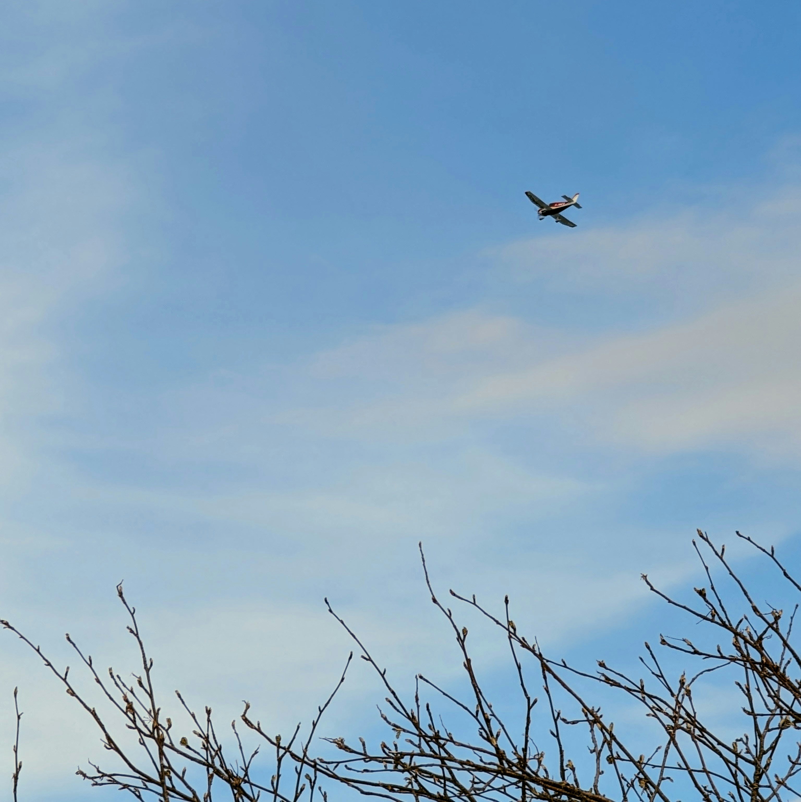 Source du Lac Noir, Orbey, France