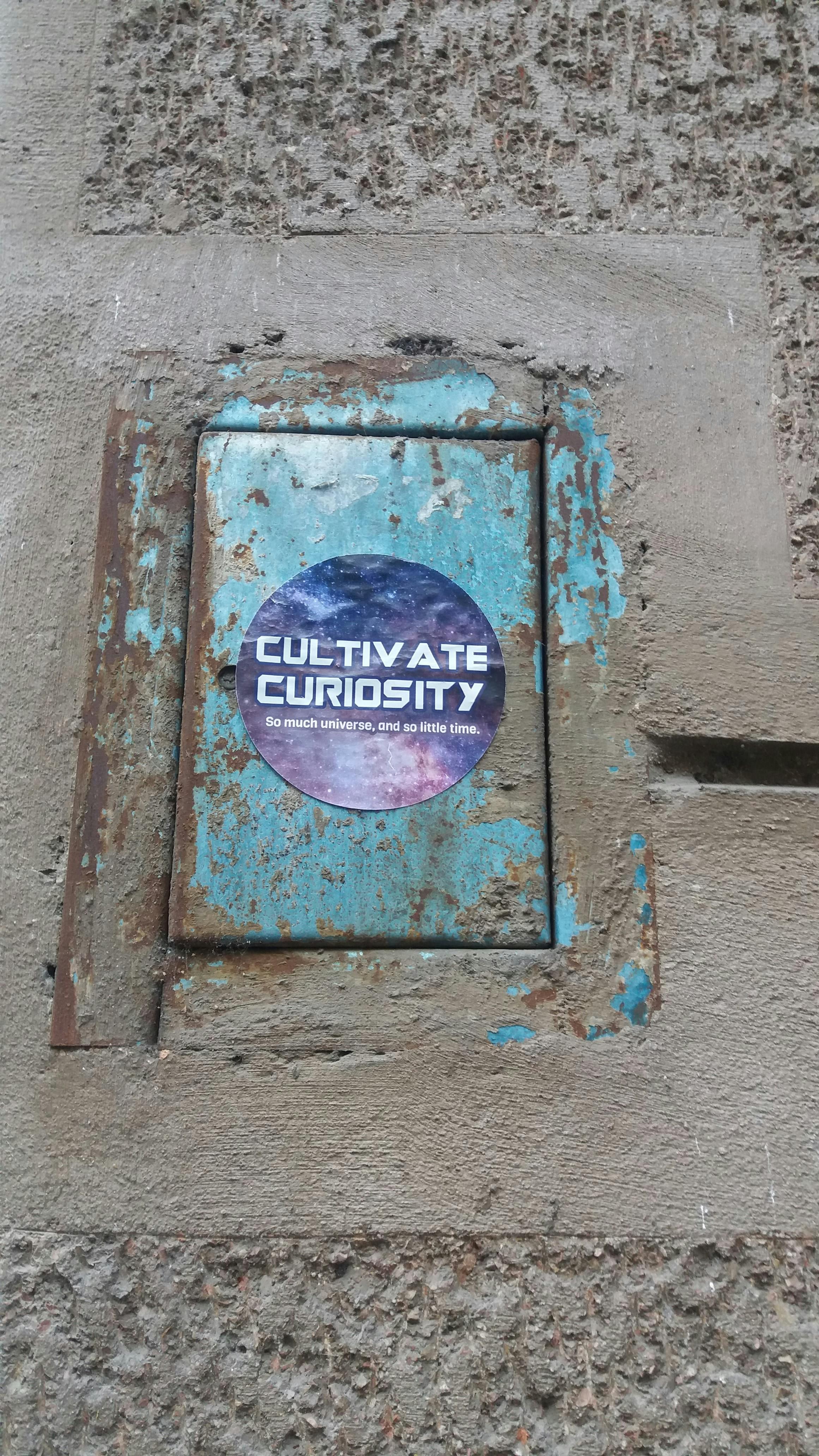 Cultivate curiosity